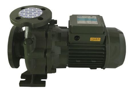 Насосный агрегат моноблочный фланцевый SAER IR 32-125A в Перми 