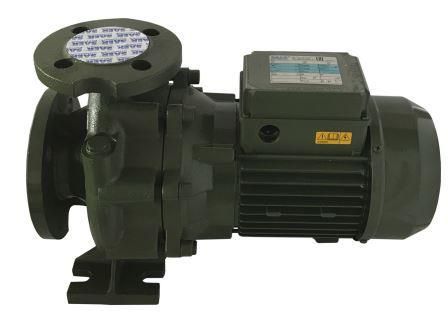 Насосный агрегат моноблочный фланцевый SAER IR 32-250A в Перми 